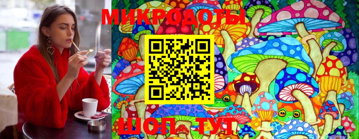 Галлюциногенные грибы MAGIC MUSHROOMS  Вход с VPN  Сочи 